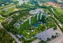 Forest In The Sky - Flamingo Đại Lải Resort