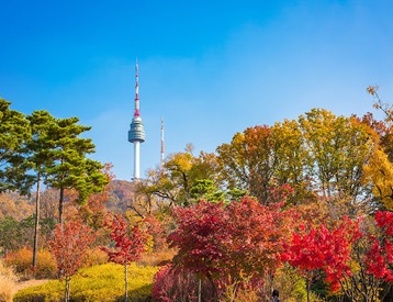 Tour Hàn Quốc 5N4Đ Ngắm Mùa Hoa Anh Đào: Hà Nội - Seoul - Nami - Everland 