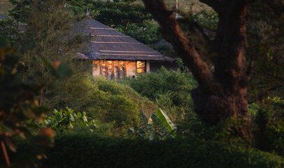 Standard Seaview Bungalow