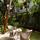 Boma Resort Nha Trang 15