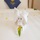 D'Lioro Hotel & Resort 123