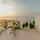 The Cliff Resort & Residences 98