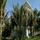 Villa Del Sol Beach Resort & Spa 7