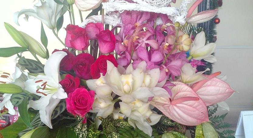 Khách sạn Cẩm Đô Đà Lạt