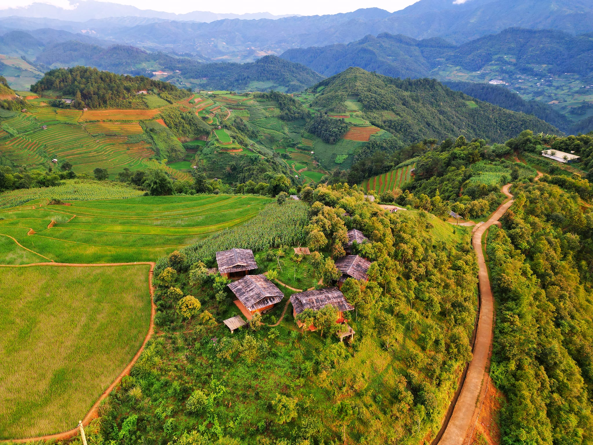 amazingo.vn
